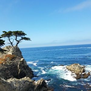 Meet your Posher, Marie